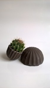 WP_20151022_16_10_05_Pro