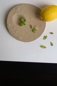 WP_20151022_16_18_32_Pro