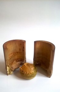 WP_20151106_15_41_29_Pro