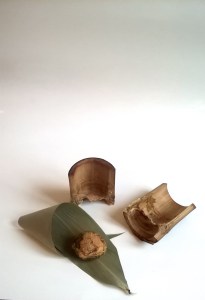 WP_20151106_15_46_09_Pro